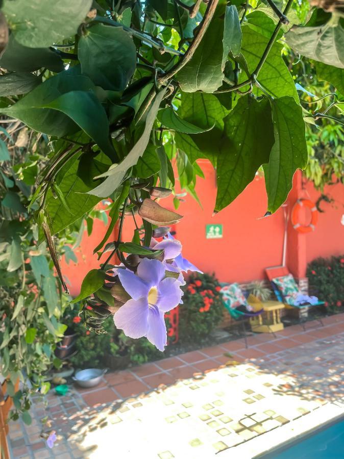 Hotel Casa De Verano - Solo Adultos - Santa Fe de Antioquia Bagian luar foto